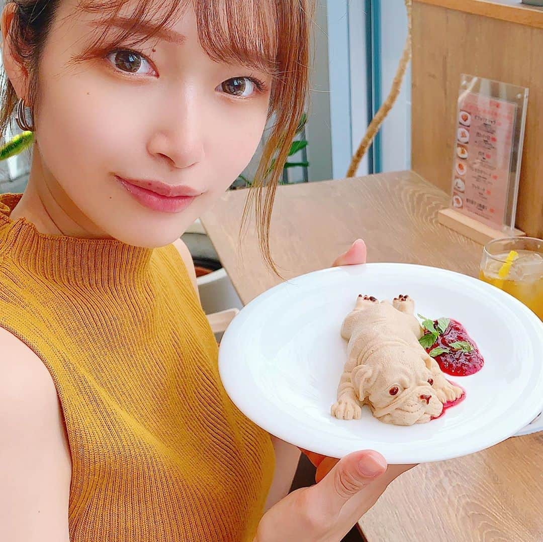 平佐知子のインスタグラム：「わんなこった！！ ワンコのパンナコッタ😍 めちゃくちゃリアルで食べにくかった…けど美味しかった…✨ ごちそうさまでした🥺🐶   #🐶  #ワンナコッタ  #かわいい  #リアルすぎる  #フォローミー」