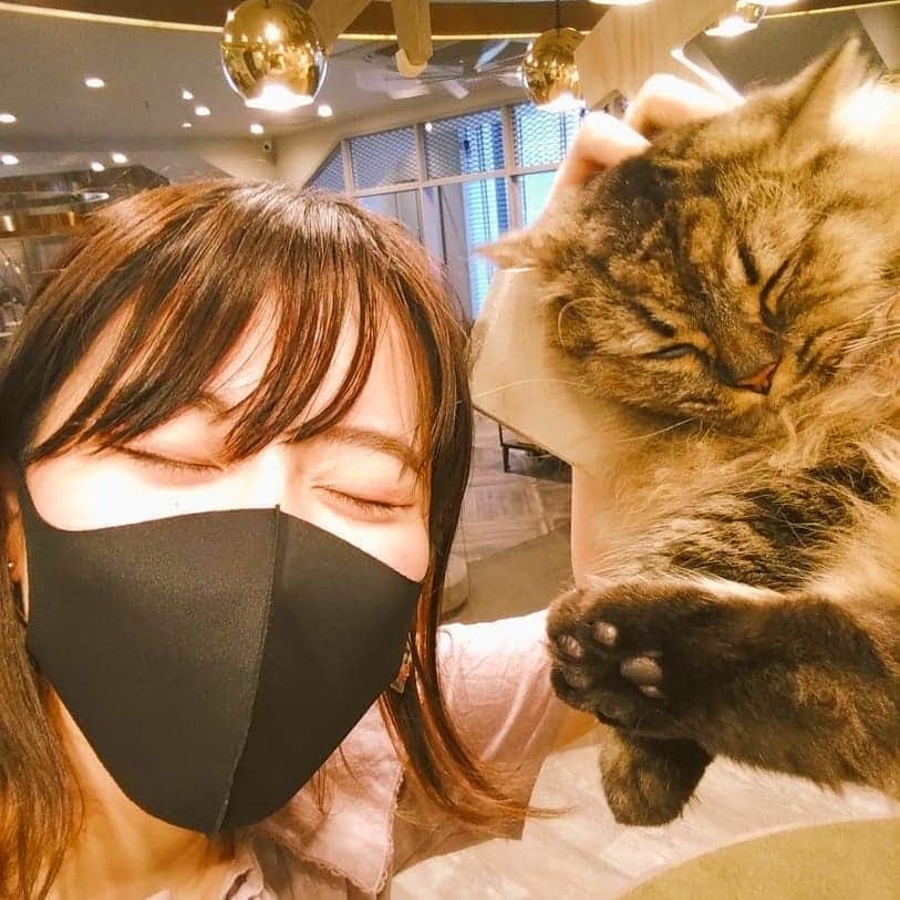 渡辺彩乃さんのインスタグラム写真 - (渡辺彩乃Instagram)「にゃあ〜〜猫カフェ最高💕💕💕  見てこの愛すべき寝顔…  友達に撮ってもらった写真も嬉しすぎて目がほっそい笑😸  少ししかいられなかったんだけど、めちゃめちゃ満たされました🥰 かわいすぎるので何度でも通う、ネコグルイ(ΦωΦ)  #ねこ #ねこのいる生活 #ネコ #猫 #猫好きさんと繋がりたい #猫カフェ」8月31日 23時35分 - nyaao_craveit