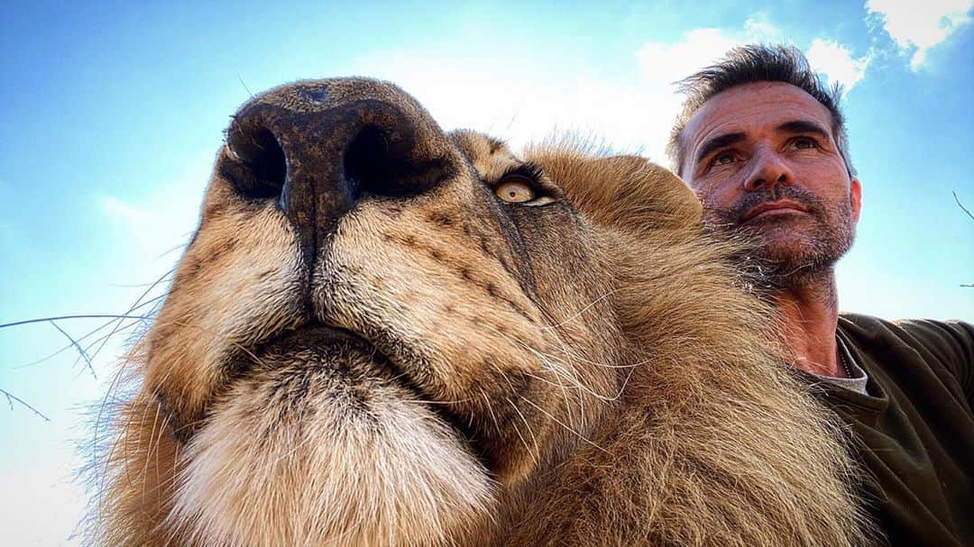 Kevin Richardson LionWhisperer さんのインスタグラム写真 - (Kevin Richardson LionWhisperer Instagram)「Spring is here or not ...  Tomorrow is officially spring here in South Africa but tomorrow a cold front from the Cape is due to arrive, so I’m not packing my winter woolies away just yet! Luckily it’s not going to be as cold as the Cape as they’re currently being lashed by snow. Guess we should count our blessings, but it’s not going to be the spring day we were longing for! Positive thought for the day is that at least winter is behind us now! Happy Monday everyone!」9月1日 0時07分 - lionwhisperersa