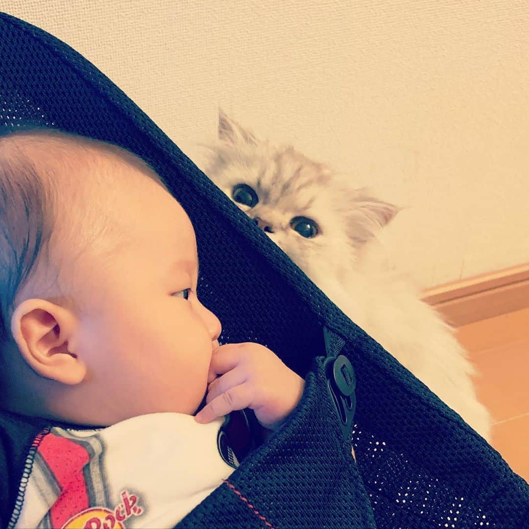 SATOKOのインスタグラム