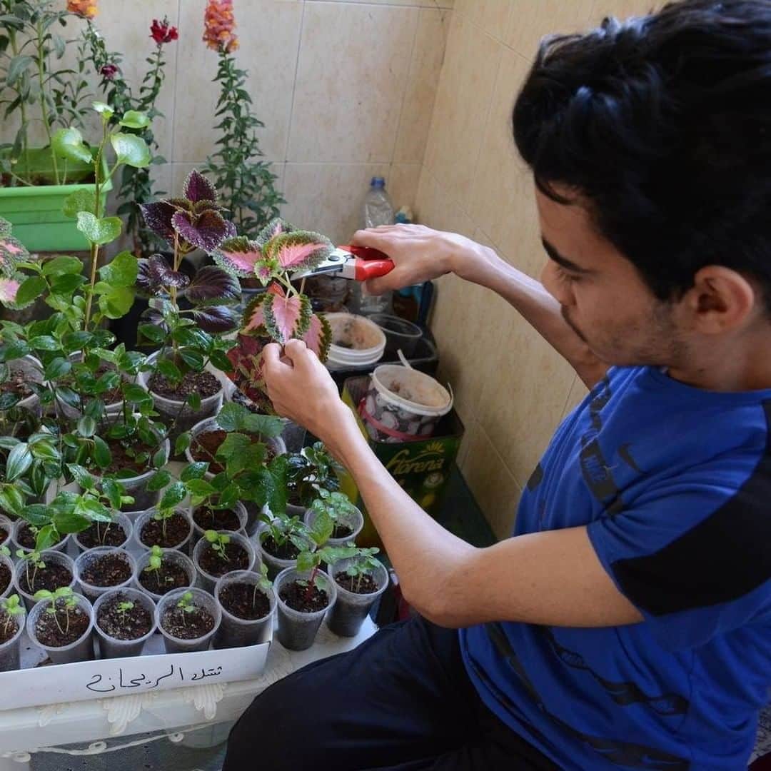 unicefさんのインスタグラム写真 - (unicefInstagram)「What have you been learning to love during the lockdown?   Abdulmouin, 16, loves tending to his plants in his sanctuary in Syria. Long before the #COVID19 lockdown, he was staying home due to a disability that limits his movement. He has advice for anyone struggling to cope with the lockdown: “It will pass! Be patient and find your passion in life and focus on it. It will bring you great happiness just the way my sanctuary does.”   © UNICEF Syria」9月1日 0時45分 - unicef