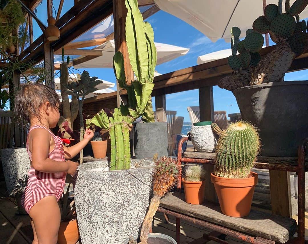 石田剛規のグルメインスタ