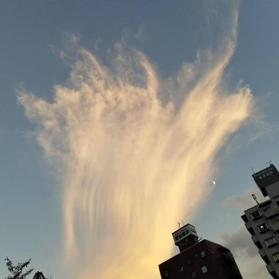羽田美智子さんのインスタグラム写真 - (羽田美智子Instagram)「おはようございます😊 今日から9月ですね。 東京は暑さが和らいで過ごしやすい天気です☀️  台風が近づいてる地方の方はくれぐれもお気をつけくださいね。  季節が変わる時の空って綺麗ですよね⛅ 夏の終わり、、 芸術的な雲を連日見せてくれました😆  知人からいただいたWレインボーの写真もお裾分け😉  芸術の秋🍁 多種多様なお仕事をいただいている9月です。 お空に真似て頑張ろうと思います🌈  皆様にとって素敵な9月になりますように✨✨✨」9月1日 10時41分 - michikohada