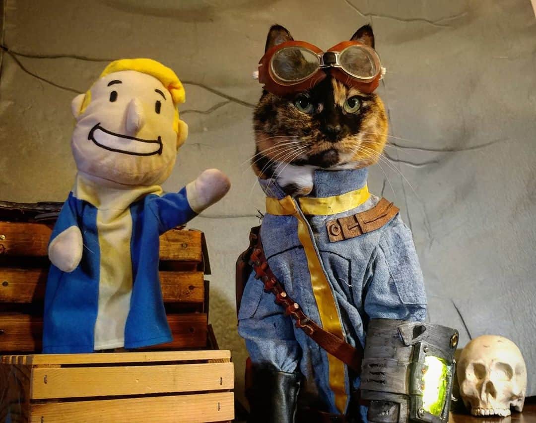猫コスプレさんのインスタグラム写真 - (猫コスプレInstagram)「Sometimes... Sometimes in this crazy world, the puppet man makes sense.  #Fallout #Vault77 . . . . . . . #vaultboy #puppetman #fallout3 #wasteland #postapocalyptic #vaultdweller #catcosplay #cosplay #cosplayer #cat #catcostume #catsinclothes #catsofinstagram #catstagram #petclothes #PetCostume #falloutcommunity #falloutcosplay #pipboy」9月1日 3時08分 - cat_cosplay