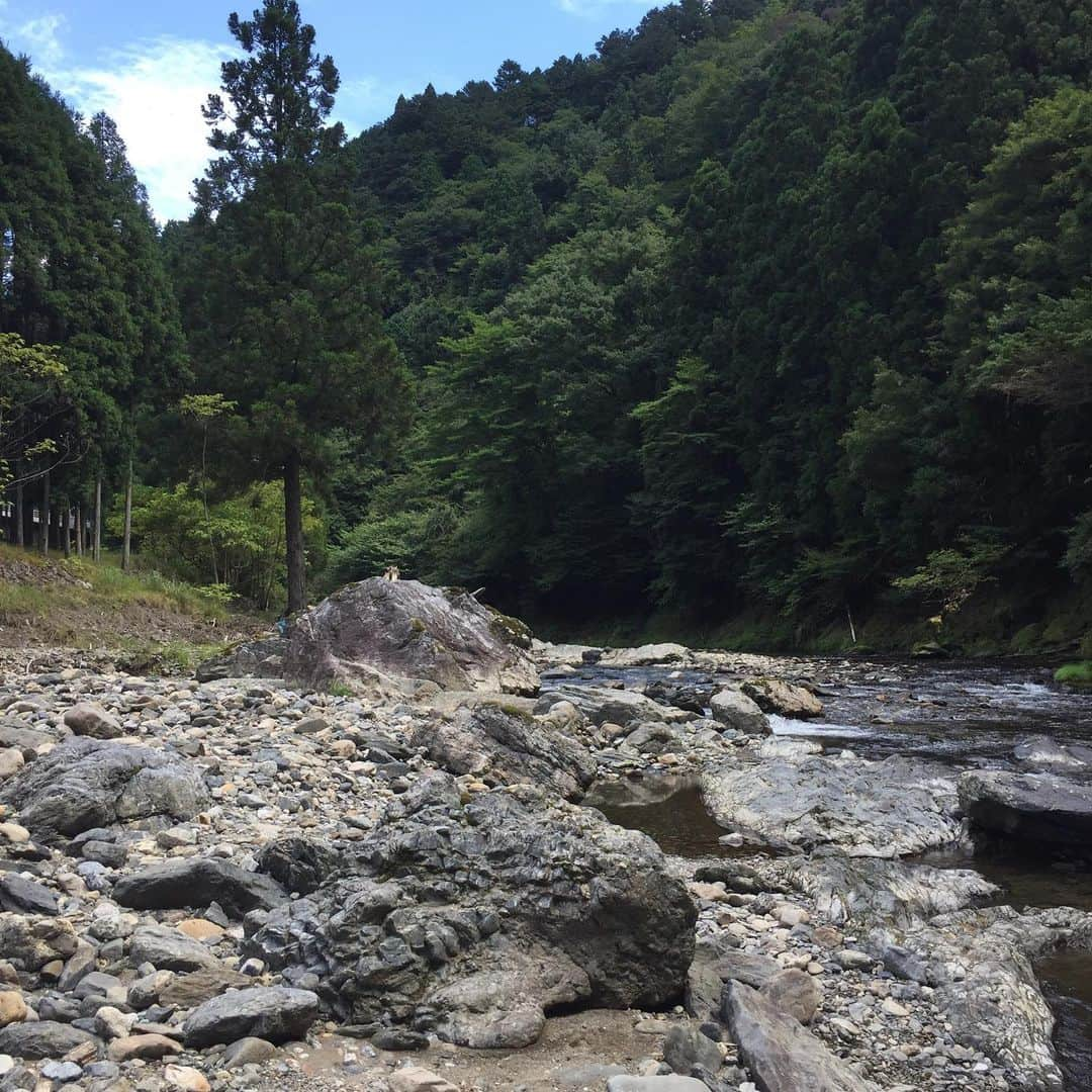 岸田繁さんのインスタグラム写真 - (岸田繁Instagram)「2020年8月終わりの川」9月1日 3時40分 - kishidashigeru