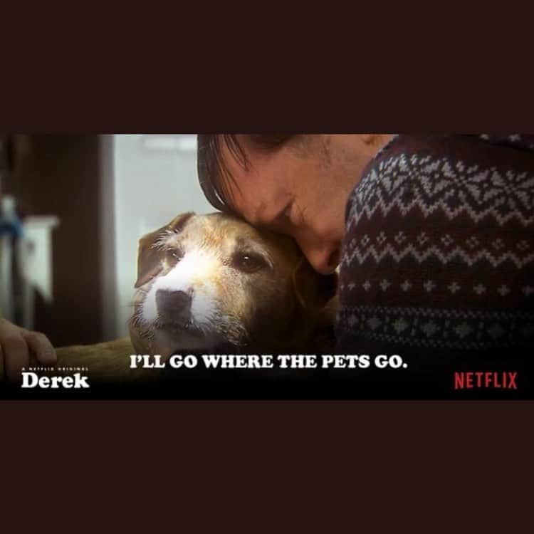 リッキー・ジャーヴェイスさんのインスタグラム写真 - (リッキー・ジャーヴェイスInstagram)「Thanks for making #AfterLife the most watched British Comedy in the world again, and thanks to the millions who just discovered #Derek because of it. The beauty of Netflix.  Dog Bless you.」9月1日 3時45分 - rickygervais