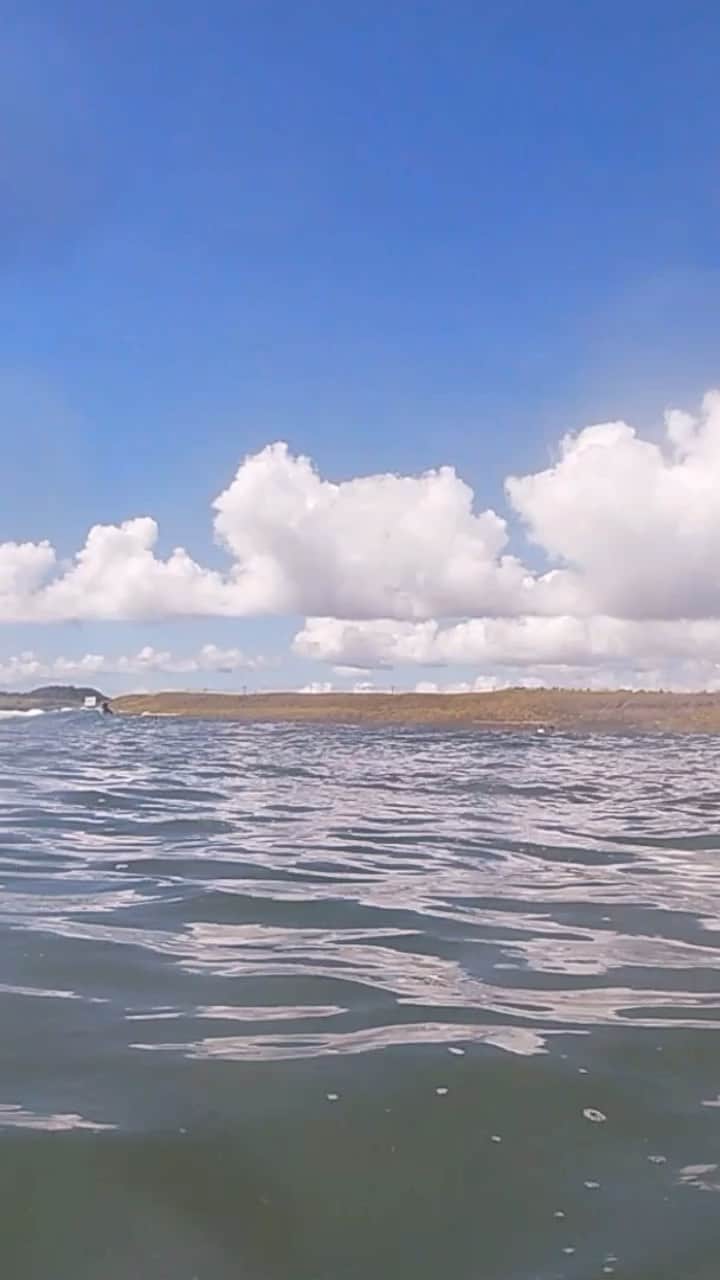 のインスタグラム：「Small wave morning  #surfinglife #beachlife #smallwaves #summerday #surfing   小波を楽しむ夏の終わり」