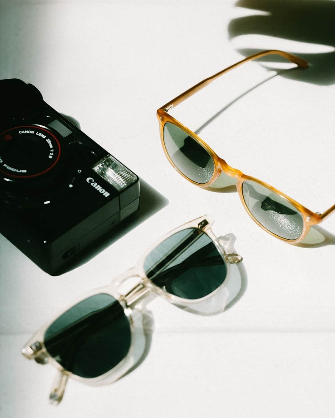 ジーエルシーオーのインスタグラム：「Brooks Sun in Champagne, Kinney Sun in Butterscotch Tortoise ⁠ ⁠ Photo by: @jaredchambers」