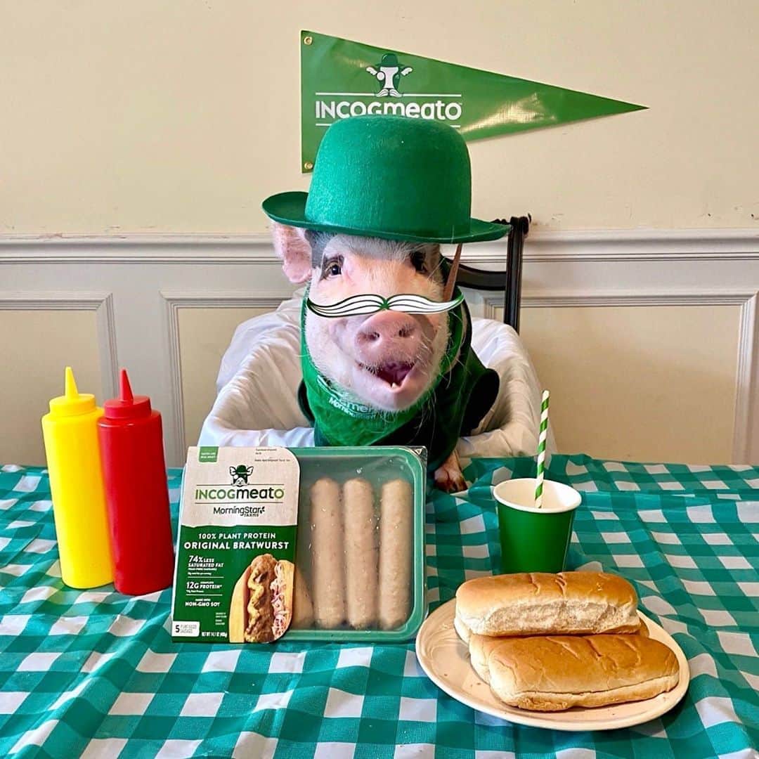 Priscilla and Poppletonさんのインスタグラム写真 - (Priscilla and PoppletonInstagram)「#ad Silly Pop is squeally excited to make mommy lunch with @incogmeatous. It’s a new plant-based brand with burgers, brats, chik’n and more that look, cook and taste just like meat...but without meat! #Incogmeato is a product we can really get behind, and they’ll be giving away coupons so you can give it a taste, too! Check out the link in my bio to get one. What are you waiting for? Afraid you might like it?」9月1日 5時32分 - prissy_pig