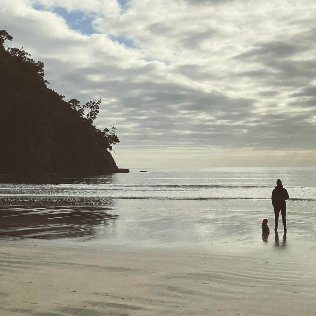 リサ・キャリントンのインスタグラム：「#Reflection #bestmate」