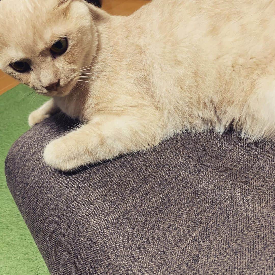 飯田カヅキのインスタグラム