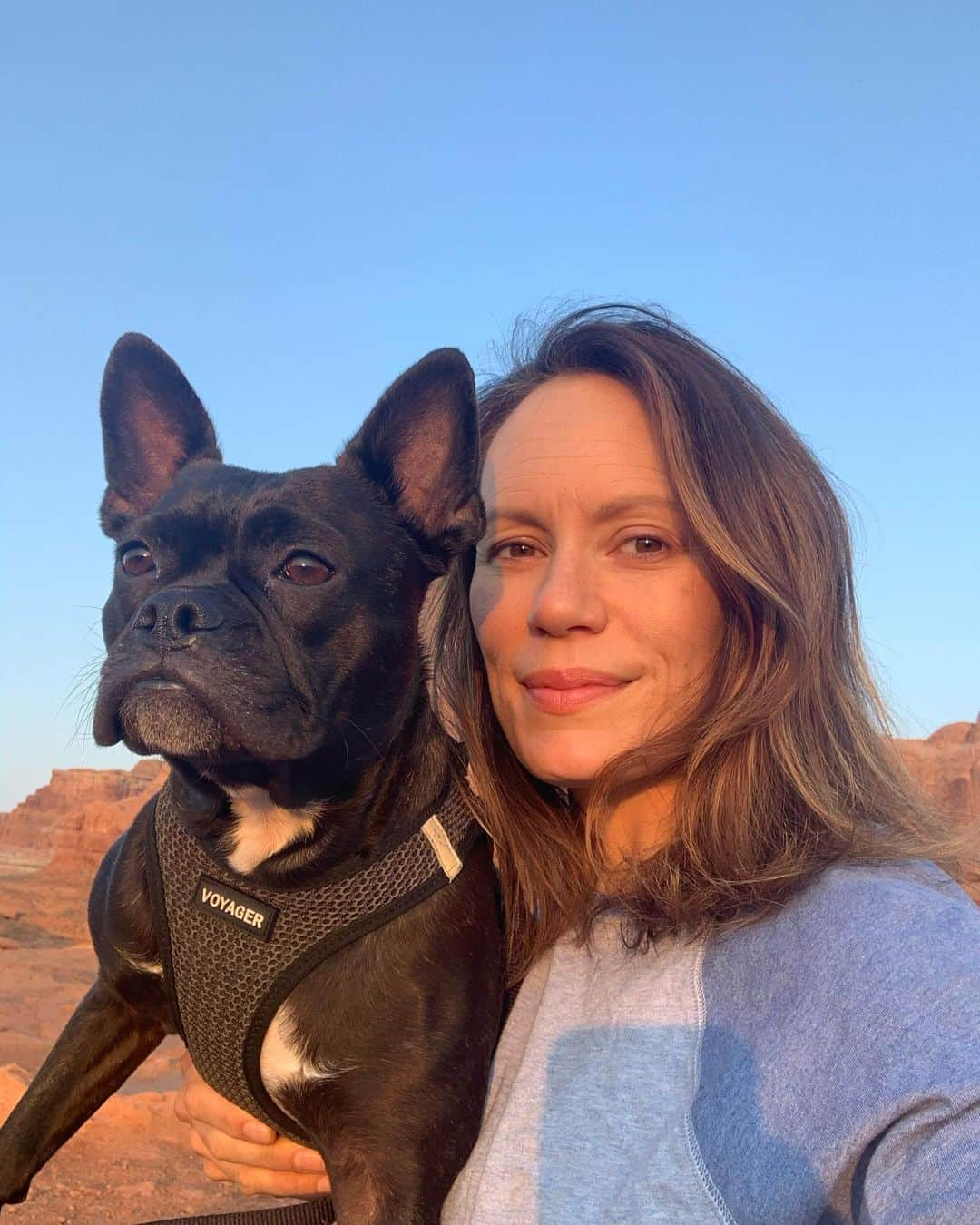 エミリー・スワローさんのインスタグラム写真 - (エミリー・スワローInstagram)「Sunrise hiking buddy 🌅 * * * #optoutside #crosscountryroadtrip #archesnationalpark #nps #themountainsarecalling #frenchtonsofinstagram #frenchton #dogstagram」9月1日 7時26分 - bigeswallz