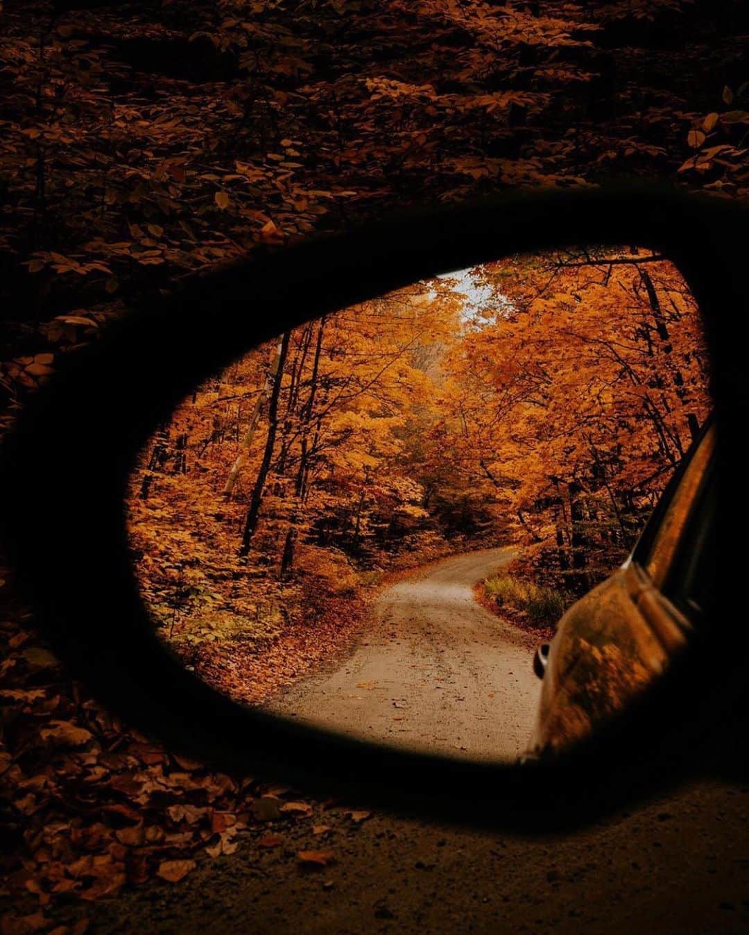 FOLKのインスタグラム：「Just go for a long drive with the windows down and your favorite song on repeat. You’ve earned it. Today’s favorites are: 1.) @phillmcdonald 2.) @lennart 3.) @beasquire 4.) @alliemtaylor 5.) @rwilliam_c 6.) @jacksondematos」