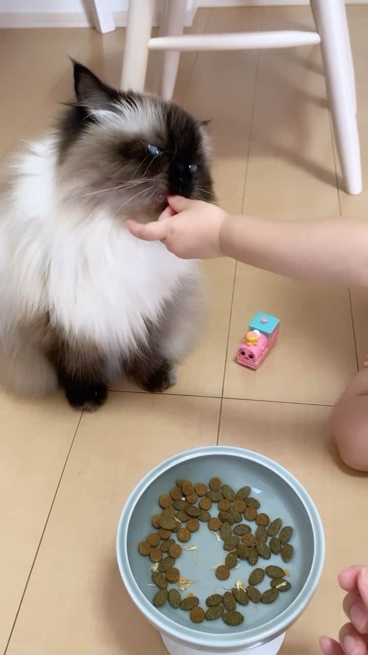 plumeのインスタグラム