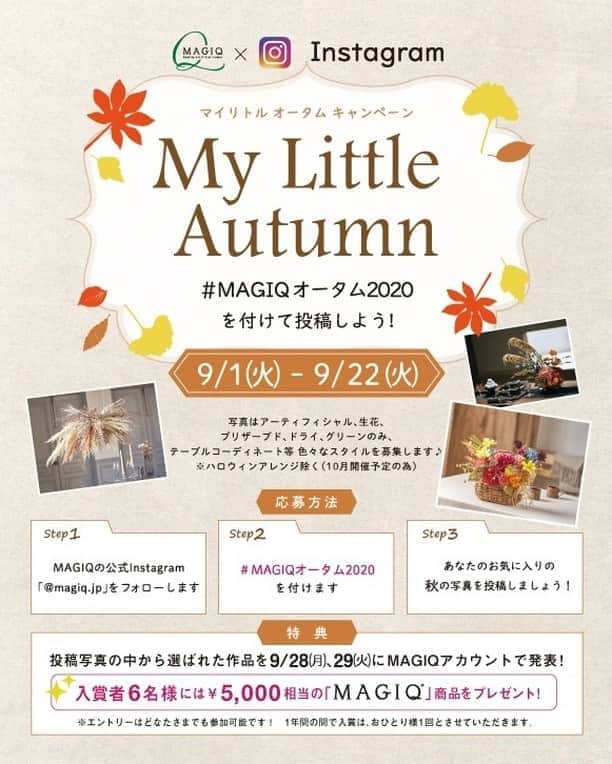東京堂アーティフィシャルフラワーMAGIQのインスタグラム：「・ 🌷MAGIQ キャンペーン 【マイ リトル オータム　キャンペーン】開催❗️ 🦋期間:2020年9月1日(火)〜9月22(火) 🎖入賞→ ６名 🏅発表→ 9月28日(月) 、29日（火） ・ 🔸キャンペーン概要🔸 ●テーマ 【あなたのお気に入りの秋】の写真を投稿してください 🚨10月"ハロウィンキャンペーン開催予定の為、今回はハロウィン画像は除きます。ご注意下さい。 ・ ◉花➡️アーティフィシャルフラワーはもちろん、プリザーブドフラワー、ドライフラワー、生花など花なら🆗です！ ・ 応募は簡単❗️ 以下参加方法にて、どなたでも参加🆗です‼️ 👇👇👇👇👇👇👇👇👇 ◎参加方法 ① @magiq.jp をフォロー ② #magiqオータム2020 をタグ付けて投稿して下さい！ ・ ＊注)①フォロー&ハッシュタグがない と対象外となります ②開催期間外(9/1より前に投稿した写真）にハッシュタグを つけたものは無効になります 🚨本年より１年間の間で入賞はおひとり様1回とさせていただきます ・ 🌟受賞者の方には、InstagramのDMにて連絡いたします (必ず、DMで連絡取れるようにお願いします) ・ 🎁特典🎁 ✳️入賞→ 6名 ①MAGIQのオススメ材料¥5,000相当をプレゼント！ ②入賞写真をMAGIQアカウントにてタグ付けして発表iいたします ③発表当日、東京堂 公式facebookページ "でもシェア掲載いたします ・ #TOKYODO#MAGIQ#MAGIQのある暮らし#東京堂#アーティフィシャルフラワー#アーティフィシャル#花#アートフラワー#造花#花のある暮らし#花のある生活 #花好きな人と繋がりたい#フラワーデザイン#フラワーアレンジメント#フラワーアレンジ#アレンジメント#キャンペーン#オータム#フォール#秋#小さい秋#小さい秋見つけた#artificialflower#artificial#autumn#artificialflower」