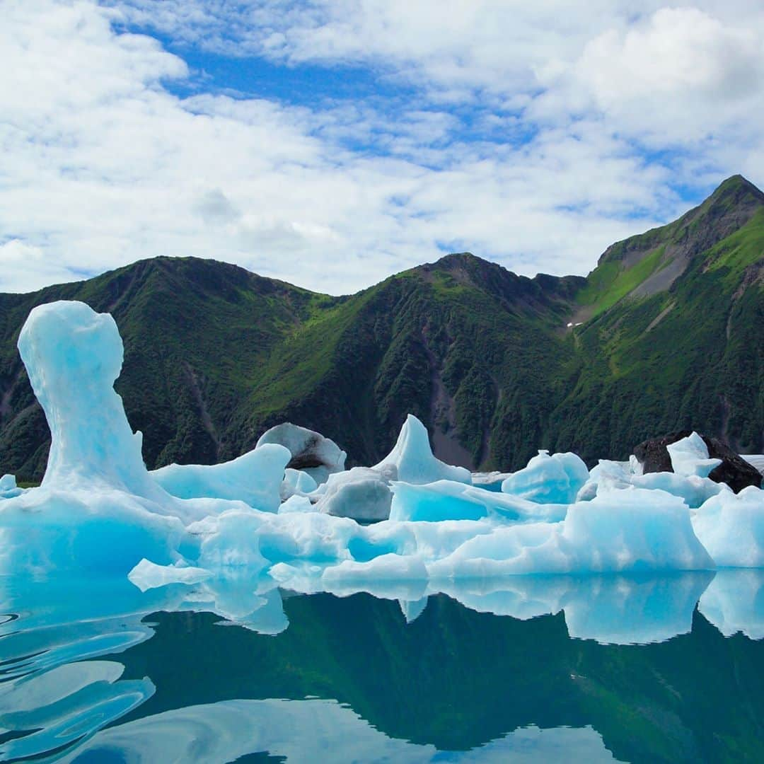 アメリカ内務省さんのインスタグラム写真 - (アメリカ内務省Instagram)「As a playground for kayakers, stand-up paddleboarders and campers, Bear Glacier Lagoon draws a variety of visitors to Kenai Fjords National Park in #Alaska. Bear Glacier Lagoon is a proglacier lagoon -- a lake that forms between a glacier and its moraine. The lagoon is an incredible place to explore and see giant icebergs that have calved from the largest glacier in the park. The bright blue ice and the deep greens of the summer hillsides create a hypnotic contrast. The #icebergs may have beautiful features such as arches and tunnels, but don’t let these lure you in too close. They are slowly melting, and it is unpredictable when their balance will shift and they will break or roll. Photo by Jim Pfeiffenberger, #NationalPark Service. #KenaiFjords #RecreateResponsibly #usinterior」9月1日 9時20分 - usinterior