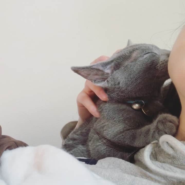 ちなり（高橋知成）のインスタグラム