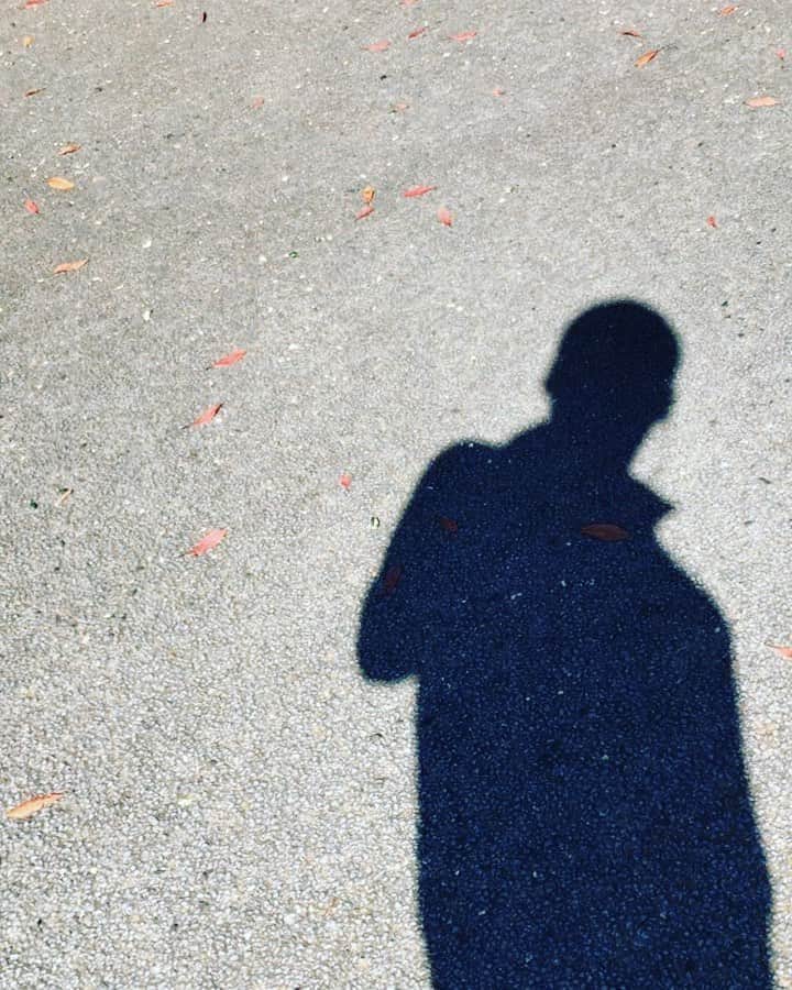 三好ジェームスのインスタグラム：「今日も猛暑の朝！  暑さを和らげるために影遊びを覚えた38才！  傍から見たらやばいんだろうけど意外と楽しい（笑）😅  #影#陰遊び#ジョギング#ランニング#running#jogging#猛暑#早朝ラン#酷暑#大濠公園  It was extremely hot today. Morning running. Sweat gushes out. Play with shadows. pleasant.」