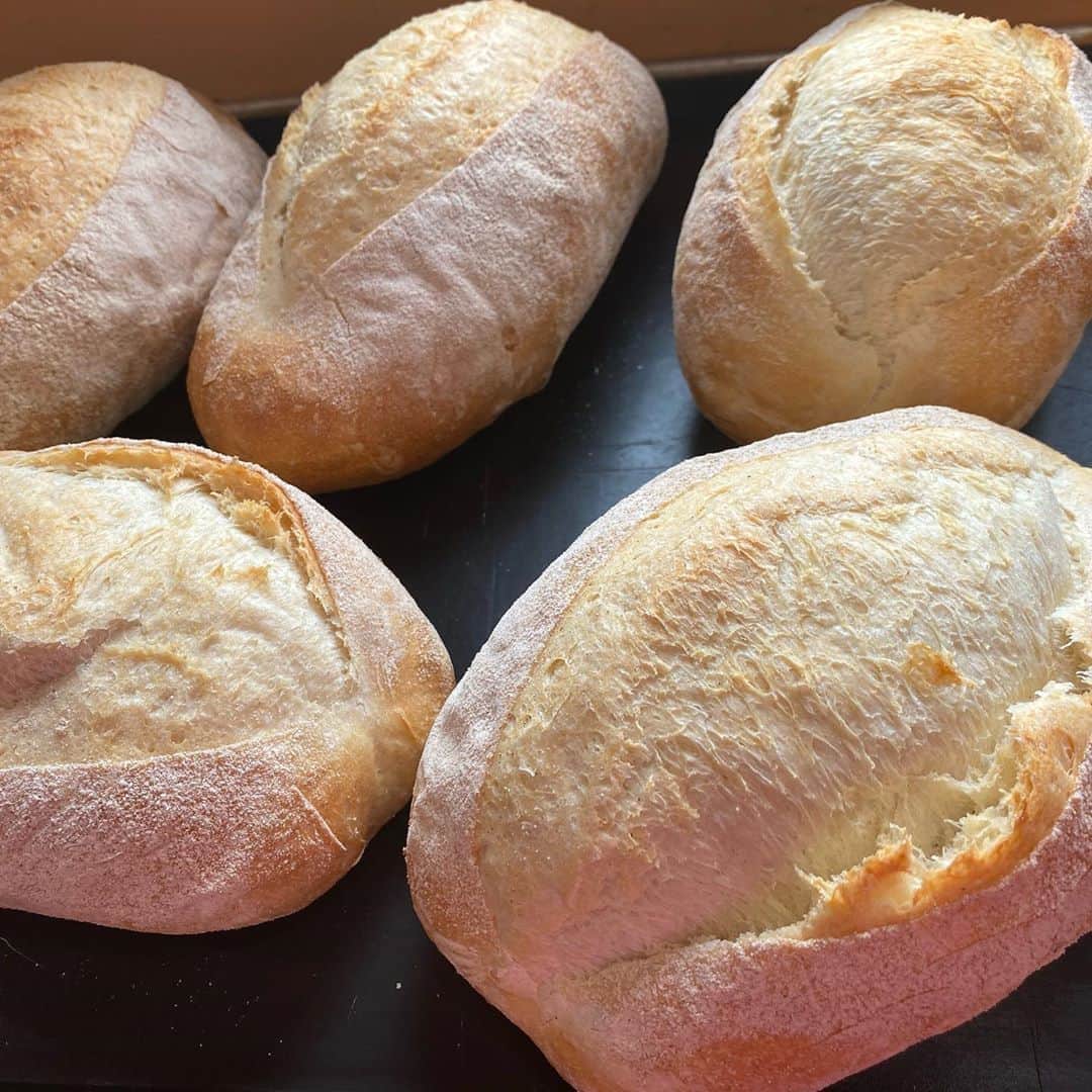 魔女菅原さんのインスタグラム写真 - (魔女菅原Instagram)「#パーネトスカーノ　#イタリアのパン  #塩分控えめ #ノンオイル  発酵種方でつくるイタリア・トスカナ地方の伝統的なパンです。塩分が少ないパンですが、不思議に塩気が足りないとは感じません。プレーンなのでさまざまなアレンジが楽しめます。  #盛岡　#盛岡パン　#盛岡ハード系パン　#盛岡パン屋 #発酵種法　#ゲランドの塩　#自家製天然酵母のパン屋さんカンパーニュ  #魔女菅原」9月1日 10時10分 - hatsuyosugawara