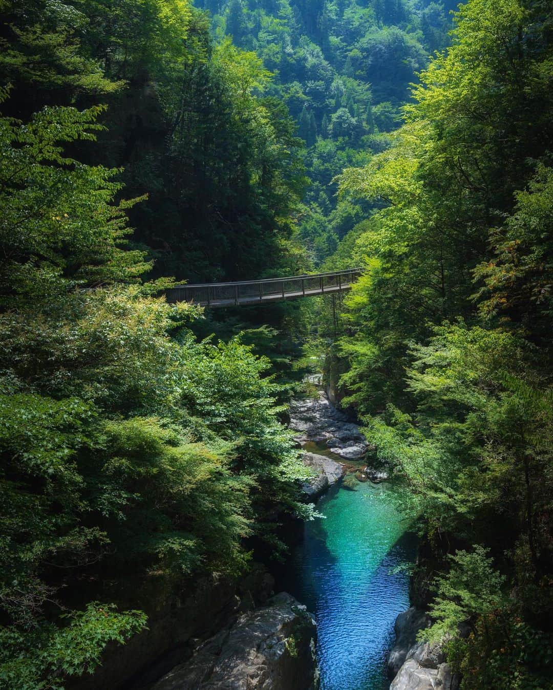 Koichiのインスタグラム：「| Summer green . #Hellofrom #Nara #BeautifulJapan #みたらい渓谷 #天川村 .」
