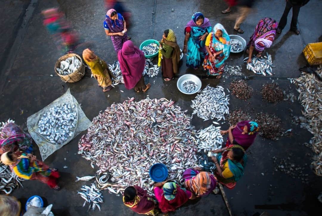 National Geographic Travelさんのインスタグラム写真 - (National Geographic TravelInstagram)「Photo by @deeptiasthana  The fishing market in Diu, India, is entirely run by women. They pool the money to buy the fish from the sailors every morning, set up their makeshift shops, and auction the bounty. For the next several hours the market is full of chaos, color, and the charisma of the Koli women. The Koli community is traditionally known for their work in fishing.  When I visited the market, I was astonished by the activities all around me. I climbed up on a wrecked ship to have a viewpoint and make sense of things. And that’s how this photograph was taken.」9月1日 21時08分 - natgeotravel