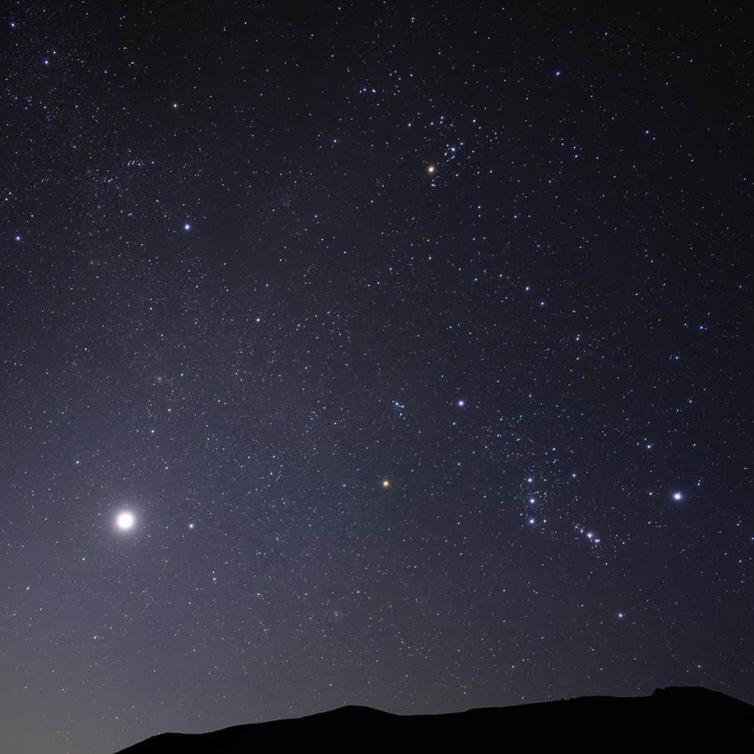 KAGAYAさんのインスタグラム写真 - (KAGAYAInstagram)「夜明けの東天には、早くも冬の星座たちがそろっています。 ひときわ明るく輝くのは明けの明星（金星）、 金星の右にオリオン座が写っています。（先日撮影） 今日もお疲れさまでした。 #星空」9月1日 21時10分 - kagaya11949