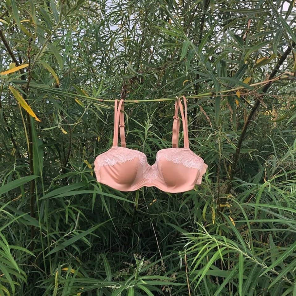 レジャビーのインスタグラム：「Moment suspendu —— love is in the air #shade #maisonlejaby #lingerie #elegance #softness @lanoro_lingerie」