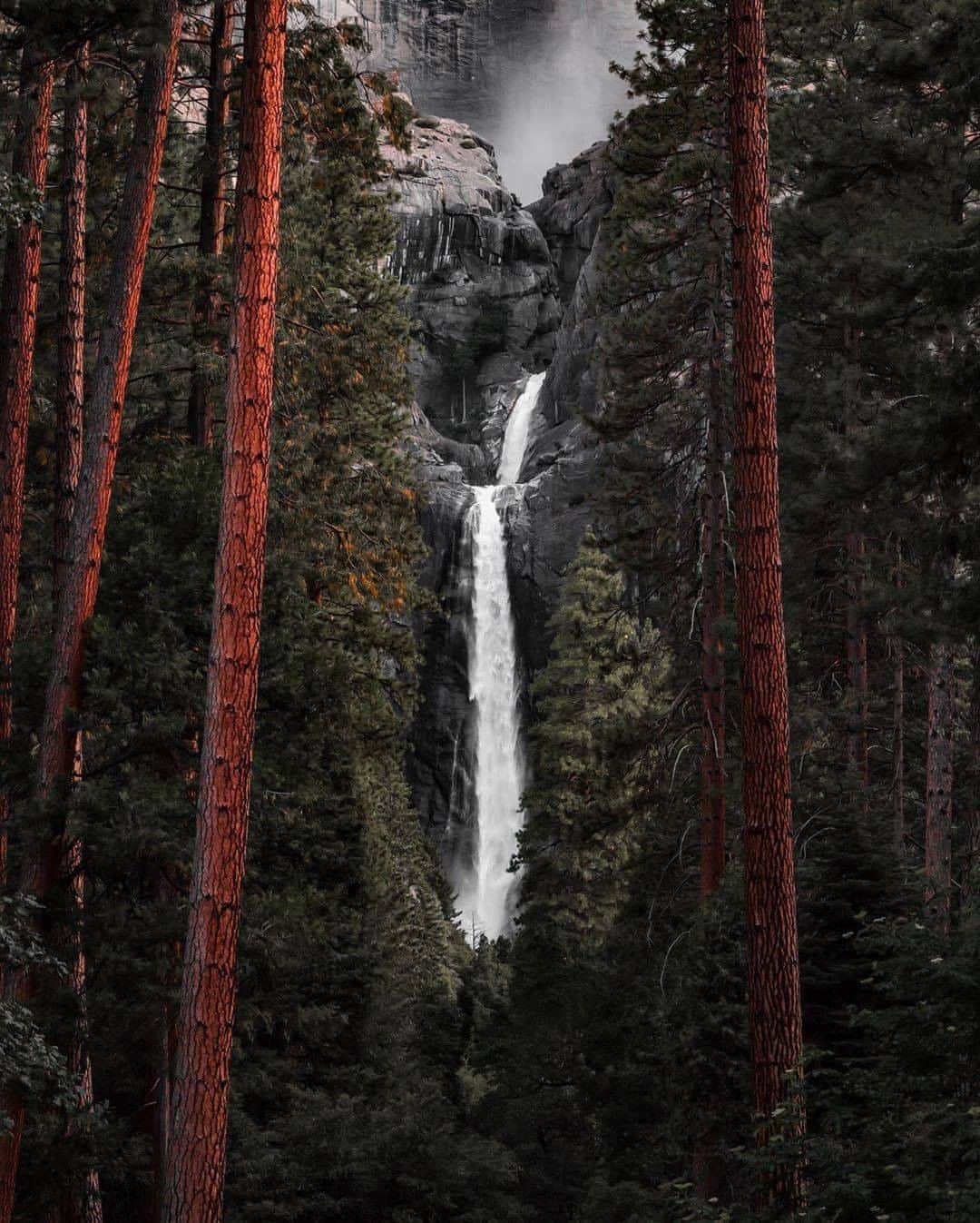 Discover Earthさんのインスタグラム写真 - (Discover EarthInstagram)「Can you see the bear in the first picture? Do you want to go to visit USA's national park ?  🇺🇸 #discoveryosemite with @tiffpenguin  #yosemite #nationalpark #youcantkillthebear #bear」9月1日 20時30分 - discoverearth