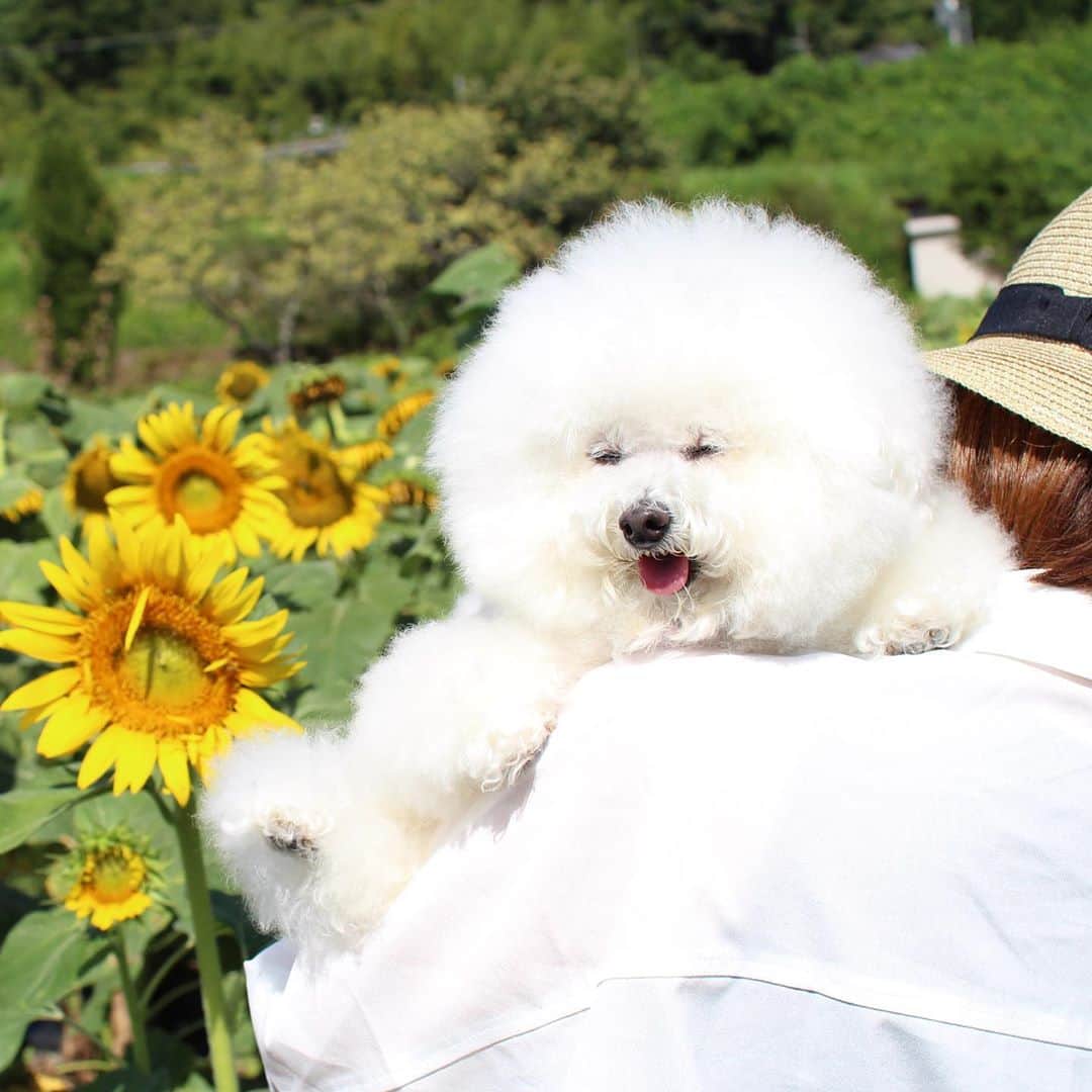 ゆうのインスタグラム：「. . お久しぶりぶりぶりです。 いつの間にか 8月が終わってた🌻 . . . #今日から9月ですね #早く涼しくなってほしい . . . .」