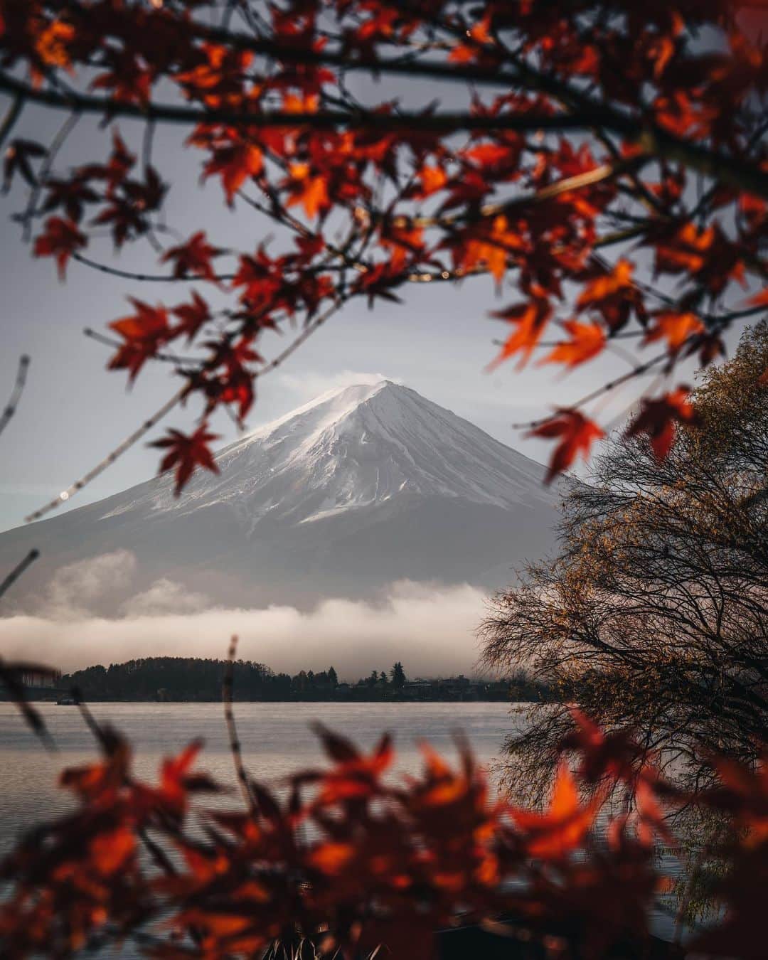 R̸K̸さんのインスタグラム写真 - (R̸K̸Instagram)「This is the next "The view of Japan". Actually, the altitude of Mt. Fuji is not so high in the world level. However, when you actually see it, it's overwhelming. Additionally, I like autumn.  It's neither too cold nor too hot, and above all, this season abounds with so much delicious ingredients. It may be difficult to come to Japan in this year for world travelers, but I would like to welcome you guys come and visit Mt. Fuji next year. Yamanashi Prefecture has better view of the mountain. But if you are on Shizuoka side, I recommend the hamburger steak restaurant name "SAWAYAKA", it's really good. #hellofrom Mt fuji」9月1日 21時00分 - rkrkrk