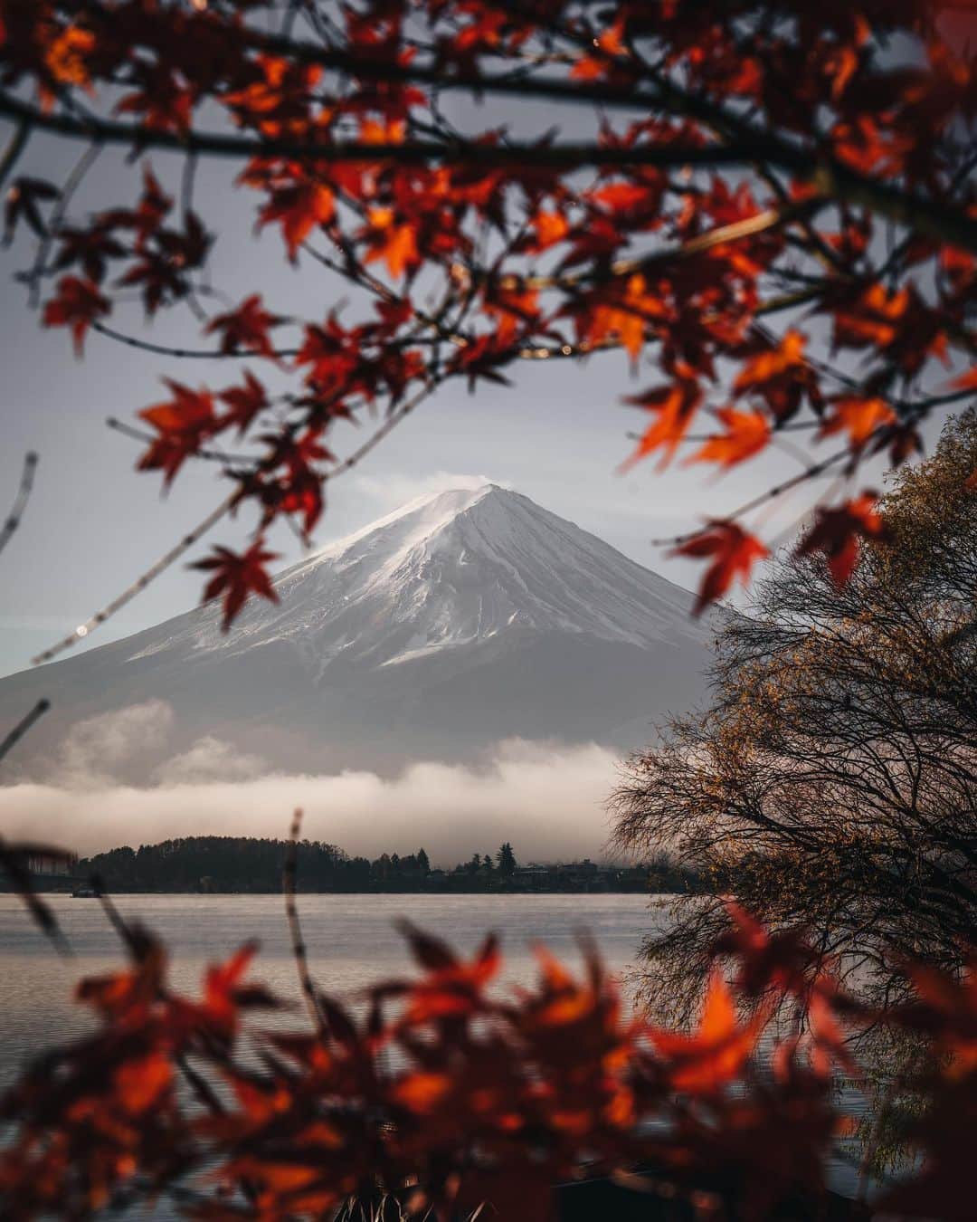 R̸K̸のインスタグラム：「This is the next "The view of Japan". Actually, the altitude of Mt. Fuji is not so high in the world level. However, when you actually see it, it's overwhelming. Additionally, I like autumn.  It's neither too cold nor too hot, and above all, this season abounds with so much delicious ingredients. It may be difficult to come to Japan in this year for world travelers, but I would like to welcome you guys come and visit Mt. Fuji next year. Yamanashi Prefecture has better view of the mountain. But if you are on Shizuoka side, I recommend the hamburger steak restaurant name "SAWAYAKA", it's really good. #hellofrom Mt fuji」