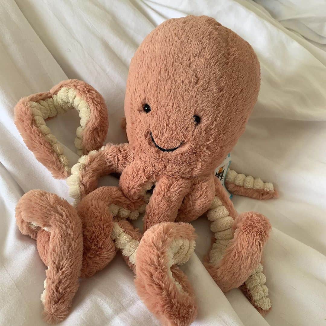 のインスタグラム：「🐙🐙🐙🐙  jellycatのぬいぐるみ ぜんぶがかわいすぎるの〜〜  名前はタッコ-ヤン🐙🐙  ドラゴンとさるのやつも可愛かったから いつかコンプリートしたい ： ： ： #jellycat」