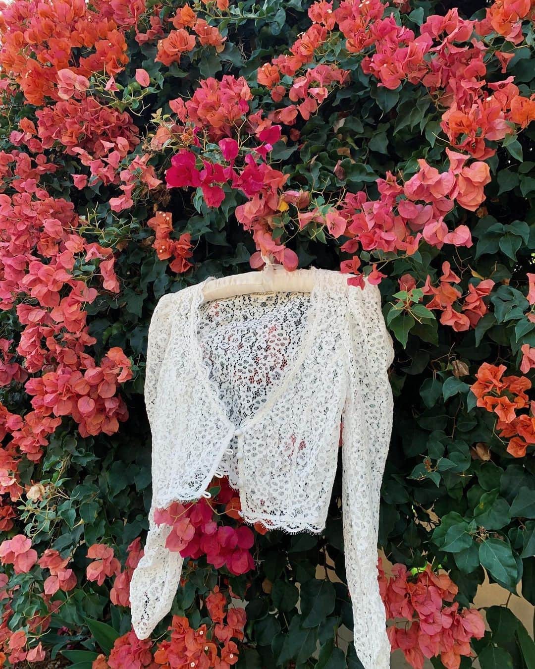 For Love & Lemonsさんのインスタグラム写真 - (For Love & LemonsInstagram)「Whisper-weight lace to take you from day to night // The Mia Lace Top #FLLforVS  More sizes available at victoriassecret.com」9月1日 12時04分 - forloveandlemons