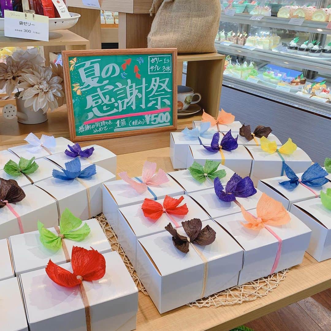 箕面 マカロン ワイスタイルのインスタグラム：「こんにちは！パティスリーワイスタイル です🌈  さあ、9月に入り、学校もスタートというところでしょうか🙄❓  まだまだ暑い日が続くということで、 ワイスタイル では「夏大感謝祭！！！」 行っております🥰  人気のゼリーやサブレを詰め合わせにしたギフト 1箱¥500でご用意しております😁 是非ワイスタイル のお菓子で夏を乗り切りましょう٩(^‿^)۶  #パティスリーワイスタイル  #箕面 #ケーキ屋」