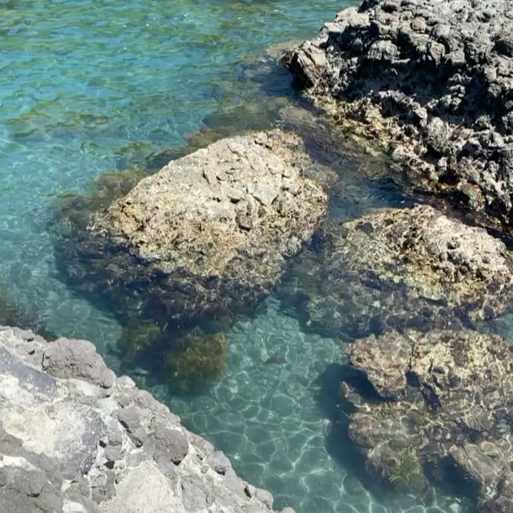 Alisaのインスタグラム：「September 🍵  #mood#september#2020」