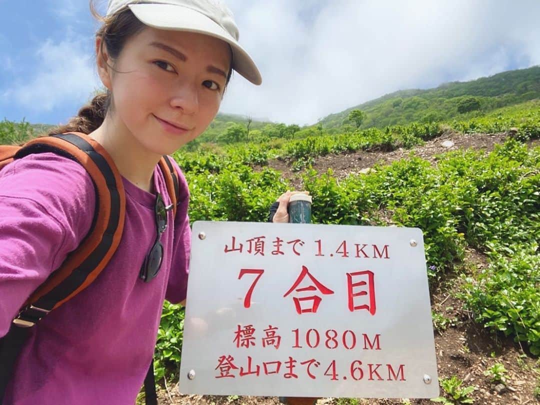 のインスタグラム：「. #伊吹山 登山⛰ . 彦根のホテル朝早めに出て パン屋さん寄っておやつ持って山へ。 . 山頂まで行き道は景色見ながら休みつつで 3〜4時間ぐらいだったかな🤔 下山はそんなにかからないけど、なんだかんだゆっくりしてたらあっという間に時間過ぎちゃう。 . 伊吹山は登ってる間ほとんど視界開けてるから 登りながら景色が楽しめるのが良い。 琵琶湖も見えるよー！ でもすごい日焼けするよー！ ＿＿＿＿＿＿＿＿＿＿＿＿＿＿＿＿＿＿＿＿＿＿＿＿＿ #trip #travel #japan #shiga #mountain #climbing #hiking #summer #outdoor #旅行 #旅 #滋賀 #滋賀県 #滋賀観光 #登山 #山登り #山ガール #登山女子 #山 #アウトドア」