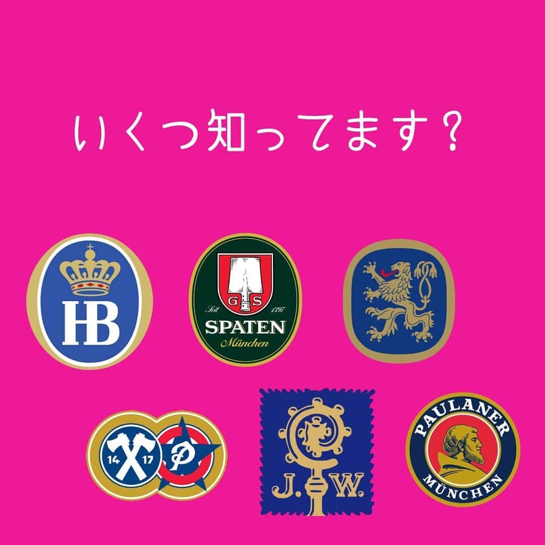 シュタインハウス新宿のグルメインスタ