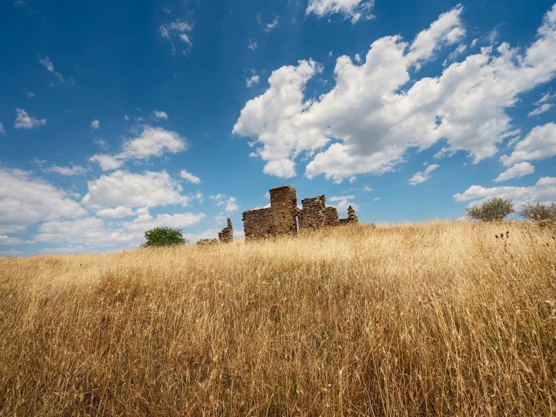 National Geographic Travelさんのインスタグラム写真 - (National Geographic TravelInstagram)「Photo by @andrea_frazzetta  The ruins of a house stand among the hills of wheat in the countryside surrounding the city of Senise in Basilicata, Italy. The landscape of this small and little-known region of southern Italy has always enchanted me. It's made of dazzling sunshine and parched hills but also thick forests and beaches. To see more photos from my travels, follow me @andrea_frazzetta. #italy #basilicata」9月1日 13時09分 - natgeotravel