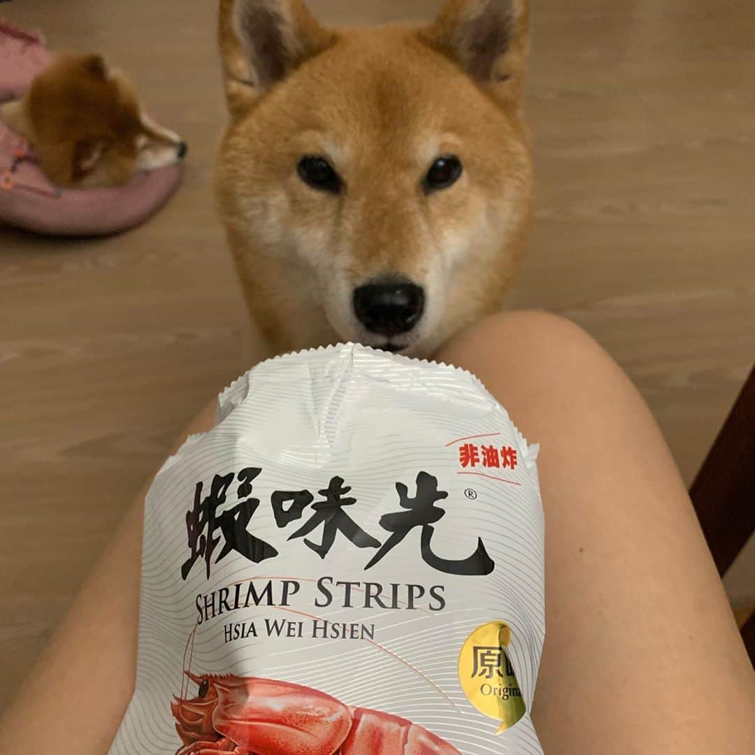 Coffeeのインスタグラム：「給吃嗎？ #coffee_and_apple」