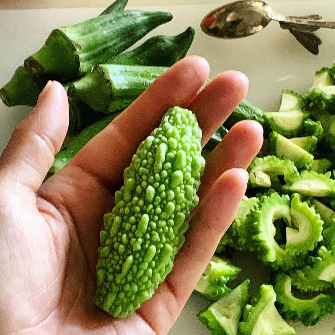 風間ゆみえのインスタグラム：「友人からいただいた小さにゃゴーヤ  かわいい  #夏の食養生」