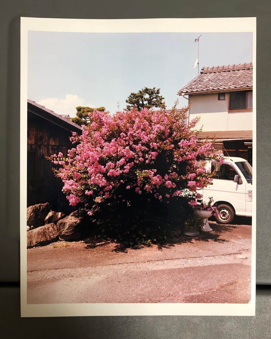 柏田テツヲさんのインスタグラム写真 - (柏田テツヲInstagram)「C-Print  #film #landscapephotography  #cprint  #darkroom」9月1日 14時57分 - tetsuokashiwada