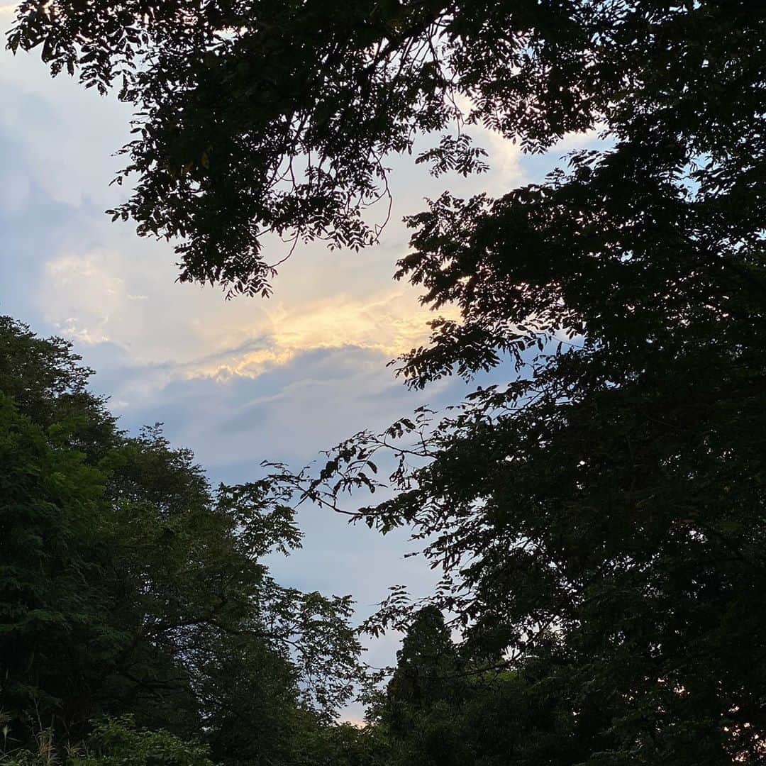 Love Me Doさんのインスタグラム写真 Love Me Doinstagram 富山県大岩山日石寺からの夕日の撮影です 開眼 するエネルギーを感じます 自分自身の眠っている力を引き出し幸運へ導く力 祈りを込めて 待ち受けにどうぞ 待ち受け画面 富山県大岩山日石寺 9月1日
