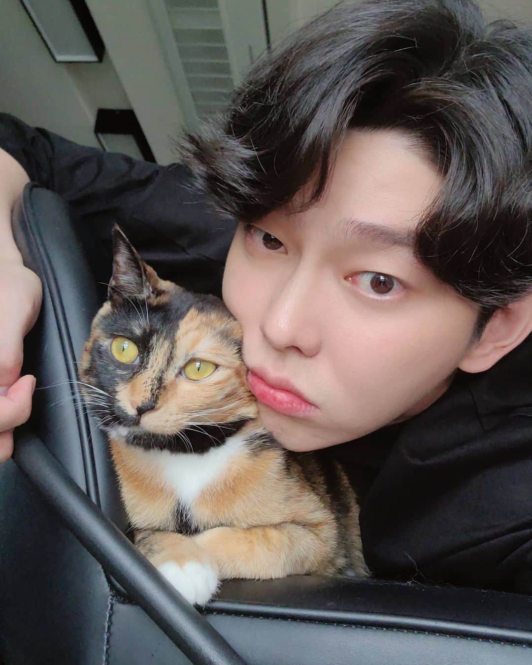 ユン・ギュンサンのインスタグラム：「제가 가루영양제 먹인방법. 아이들이 거부감을 일으켜서 좋은영양제를 못먹이면 속상하죠ㅜ 저희 집같은경우는 몽이 반이가 입도 안댔거든요 지금은 몽이는 잘먹구 반이는 반포씩 먹어요!! 제가 먹인 방법은 꽤 단순한데요. 일단 향이나 모양때문일 경우가 많기에 츄르같은 액상간식에  영양제를 아주 소량섞어서  잘저어주세요. (한포 다 섞는게 아니라 소량입니다!) 모양이야 향을 거부감없게 먹이는 작업인데요. 저는 반이는 거의 한포의 10\1 정도 양으로 시작해서 지금은 반포까지 급여해도 맛있게 잘먹어요! 꼭 츄르가 아니더라도! 사료나 물에  조금씩 타줘서 먹일수도있구요!^^ . . 사람이 먹는 약을 만드는 보령이 함께한  좋은 영양제입니다. 솔직한 영양제입니다. 함께하는 반려묘와  오래 건강하게 행복하기위해 아이들에게 믿을수있는  영양제를 급여해주세요!」