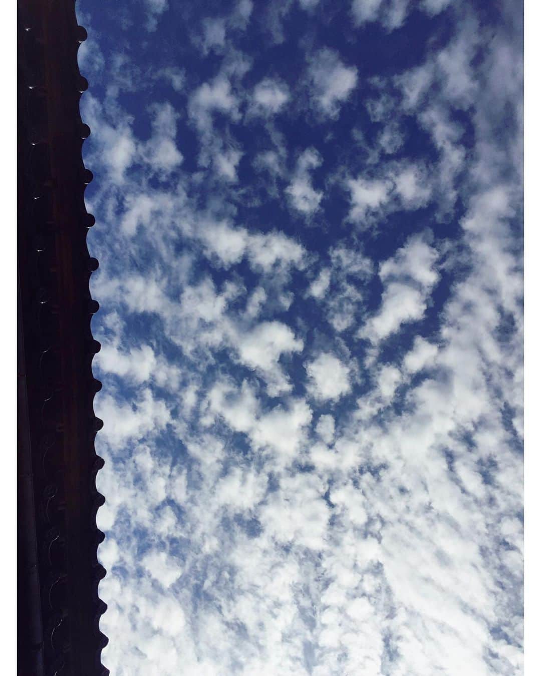 北野貴之さんのインスタグラム写真 - (北野貴之Instagram)「今の空。まだまだ夏日。 外で寝ながら上を見る空がとにかく綺麗で。 その雲と、太陽。 全身から太陽光パワーいただいています！ 大自然の恵みに感謝！  #テレビ無い#生活#いつも#音楽」9月1日 15時35分 - takashi_kitano