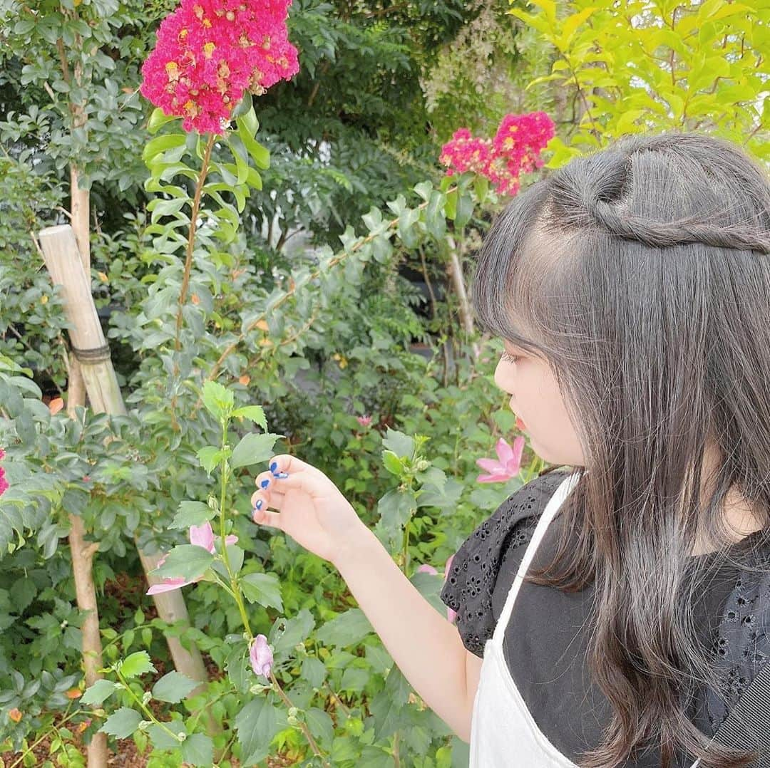 山田なる（ナルハワールド）さんのインスタグラム写真 - (山田なる（ナルハワールド）Instagram)「🌿✨﻿ ﻿ ﻿ ﻿ 9月になったね🎑﻿ ﻿ ﻿ これから涼しくなるかなぁ〜🍃﻿ ﻿ ﻿ #9月 #9月といえば #秋 #秋の始まり」9月1日 21時20分 - naruhaw