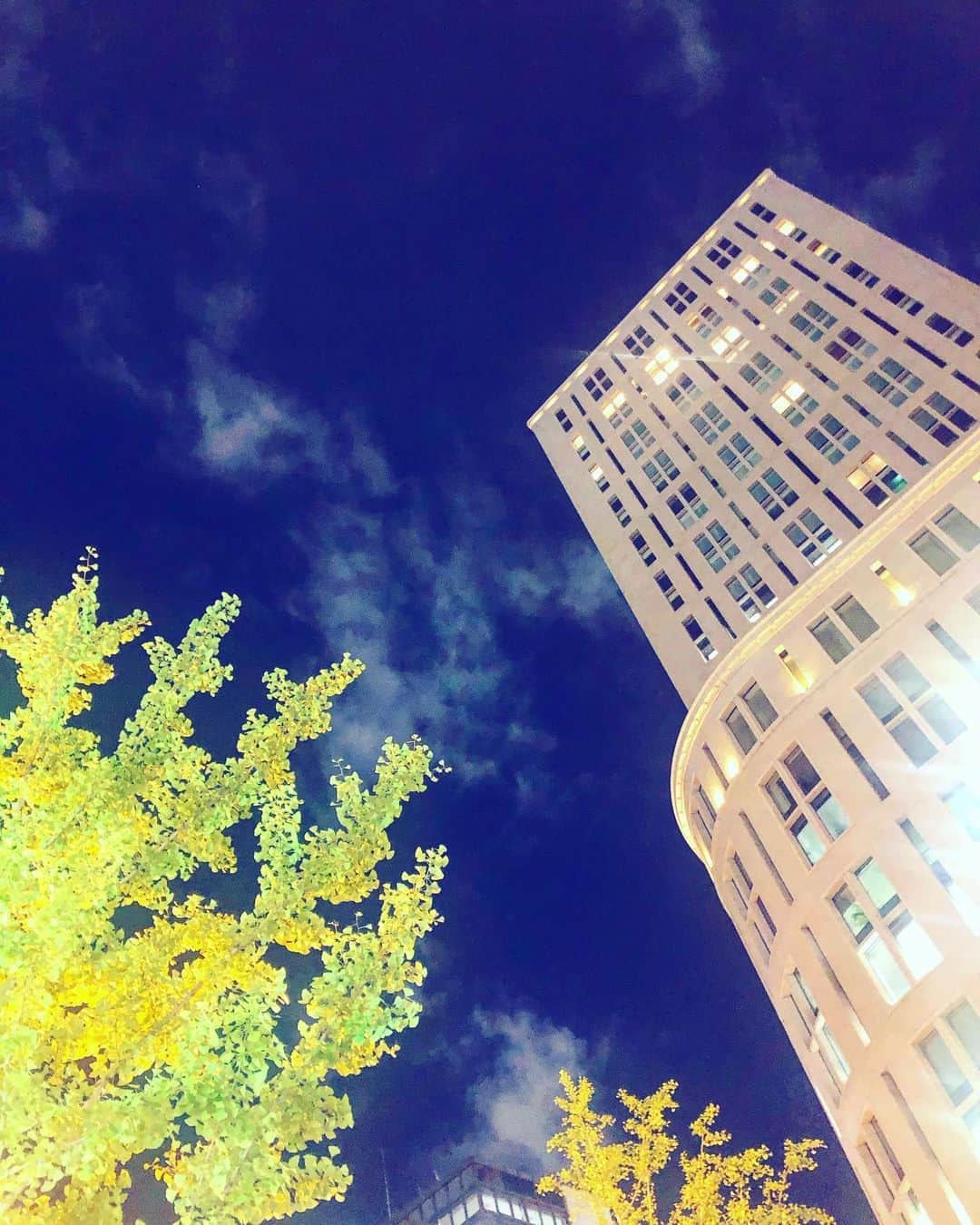武井壮さんのインスタグラム写真 - (武井壮Instagram)「夜の御堂筋は美しいねえ」9月1日 21時19分 - sosotakei