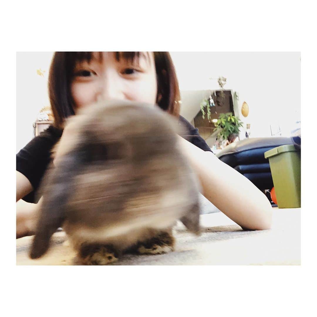 岡本夏美さんのインスタグラム写真 - (岡本夏美Instagram)「うさぎのマルさんと 写真撮るの至難の技。笑」9月1日 15時51分 - okamoto_natsumi