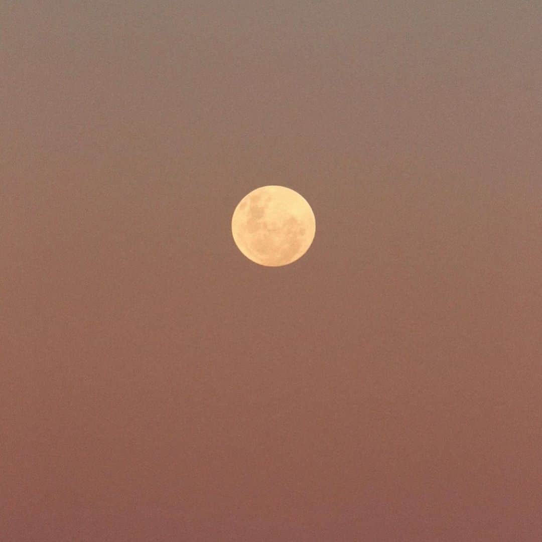 エビアン・クーのインスタグラム：「we have been dying  since we got here and forgot to enjoy the view . .live fully  . @rupikaur_」