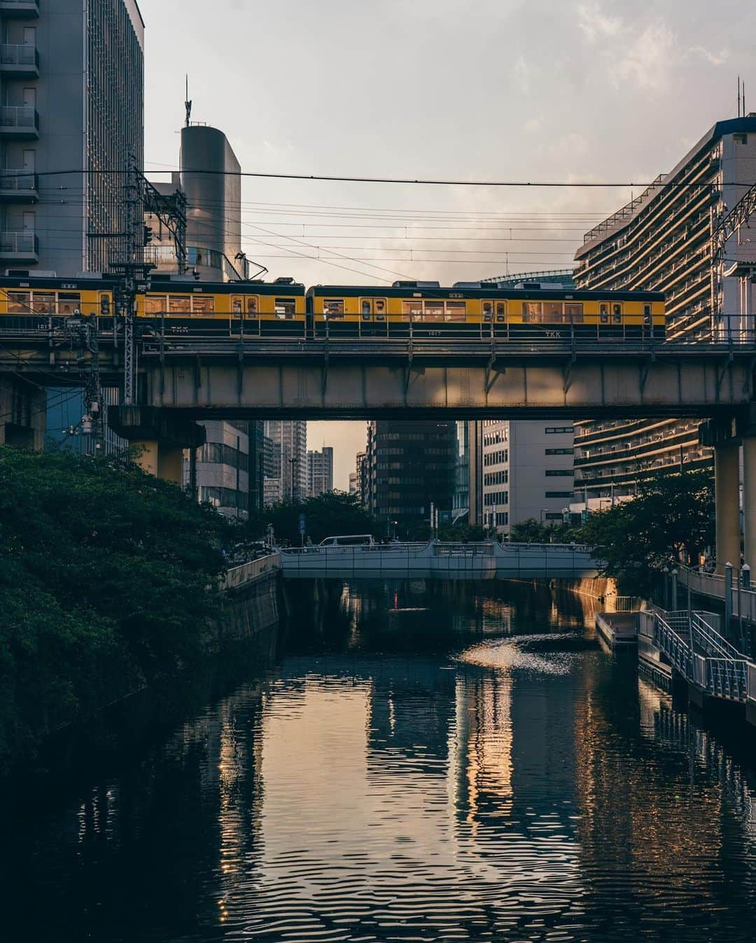 東急電鉄さんのインスタグラム写真 - (東急電鉄Instagram)「. 東急電車と風景が綺麗に見えるスポットのご紹介です。 桜の名所として有名な目黒川。定番のお花見スポットは東急東横線中目黒駅のそばにありますが、そこから下流に向かっていきますと東急池上線五反田駅付近にたどり着きます。そのすぐ近くで目黒川を渡る電車を撮影することができます。 オススメする撮影時刻は、昼から夜に移る西日が差し込む頃。 夕焼け色に染まるマンションやオフィスビルが立ち並ぶ街を背景に高架線を渡る電車は美しく、思わず足を止めてしまうほど。 どこか人々の営み・生活の大切さを感じさせてくれる風景です。 夜になると、電車の明かりが鏡のように川面に反射して、それもまた面白い風景になりますよ。 （東急池上線　五反田駅） . Spots where the Tokyu line trains run through gorgeous backdrops. Meguro River is a coveted destination for cherryblossoms. For most flower-lovers, the usual spot is just next to Nakameguro Station on the Tokyu Toyoko Line, but if you head downstream you’ll make your way towards Gotanda Station on the Tokyu Ikegami Line. Here’s where you’ll find a hot photo spot where trains cross the Meguro River. We recommend visiting in the afternoon/evening, when the sun is beaming in from the west. The area is lined with office buildings and high rises as they’re washed with the light of sunset. It’s truly a breathtaking moment as the train passes on the overhead tracks. Catch a glimpse of this scene and you’ll stop to reflect on the quieter moments and people in life. At night, the lights of the trains reflect like lamps on the river’s surface, making for another snap you’re sure to love. (Gotanda Station  Tokyu Ikegami Line ) . #五反田 #gotanda #tokyo #東京 #池上線 #train_vision #japantrain #japanesetrain #電車 #鉄道 #鉄道写真 #鉄道好き #鉄道ファン #鉄道のある風景 #鉄道好きな人と繋がりたい #撮り鉄 #railways_of_our_world #railwayphotography #trains_worldwide #railfan #japantrip #discovertokyo #visitjapanjp #tokyu #東急 #東急沿線 #일본여행 #東京自由行 #東京景點 #hellofrom」9月1日 16時57分 - tokyu_railways