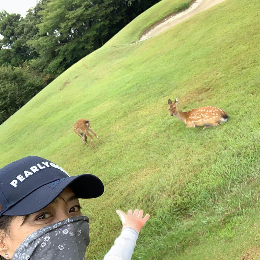 前田典子のインスタグラム